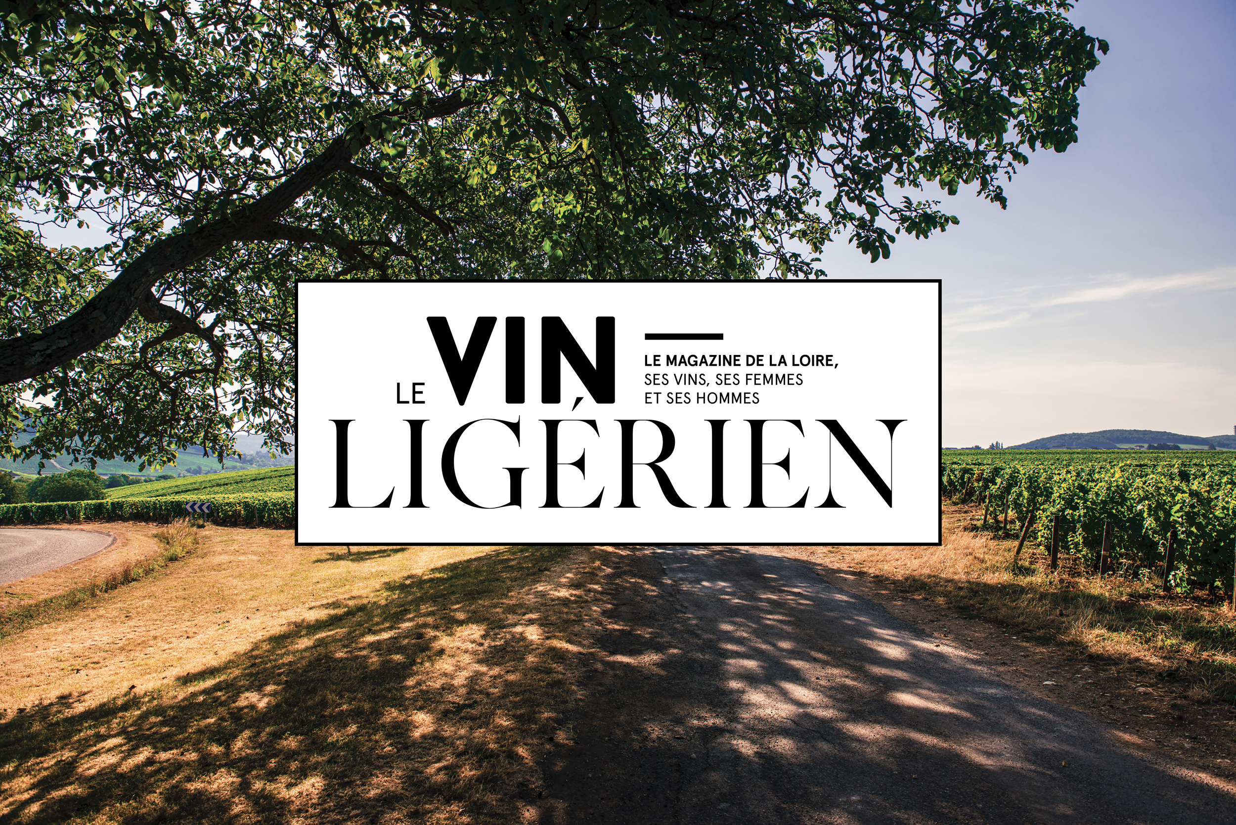 agence de communication tours le vin ligérien yvonne et colette logo magazine corporate édition design création logo plaquette